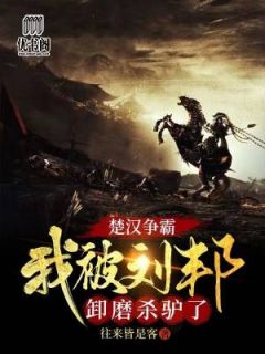 婚礼现场随机嫁夫，我竟成了总统夫人？全集阅读