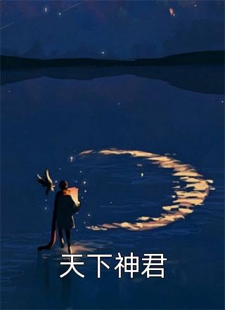畅销书籍王爷别虐了，花魁她已有夫君了