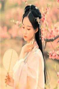 陛下！您家皇贵妃真没想争宠畅读佳作