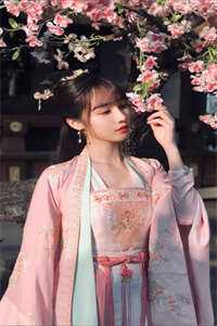 热门小说官家天下