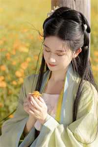 全文章节大明：距离灭国还有七天？他坐吃等死了
