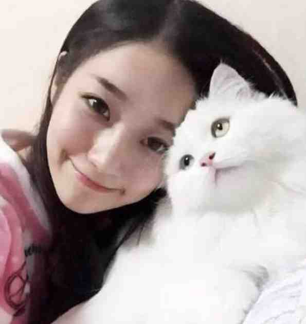 女奴系统：我在末世开后宫全集阅读