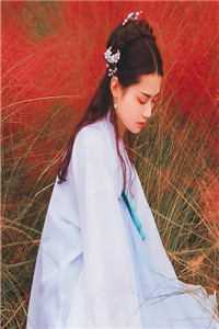 总裁上位无门