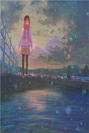 郎才女貌