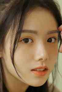 宏图美人志
