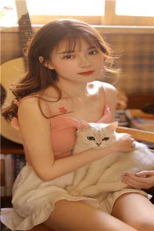全章节闪婚豪门：相亲对象是大佬