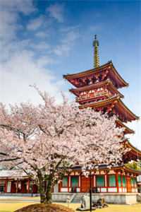神秘老公惹不起