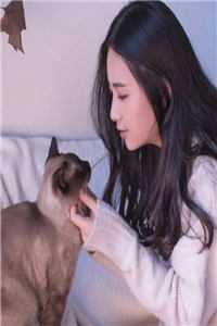 夫人去世后，翟总悔不当初
