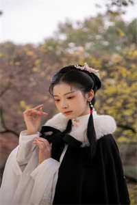 天灾！我囤尽天下粮仓救了全侯府