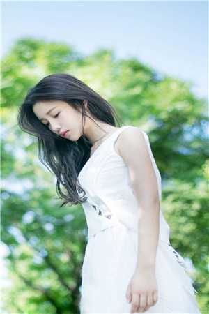 精选小说推荐四合院：何大清长子抗美援朝回来了