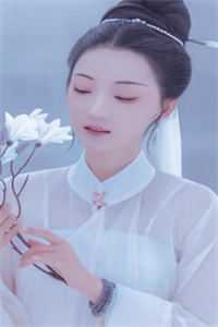 全集小说妙手回春