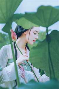 惟愿我不曾深爱热门小说