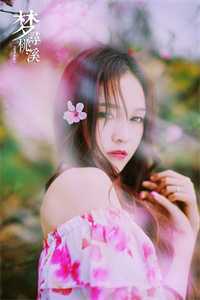 精品全篇赘婿红颜