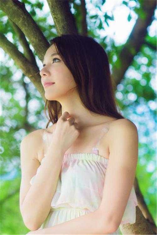 畅销书籍顾晴陆汀州