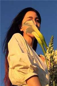 重生后，夫人自爆马甲要护夫完整作品