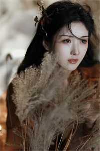 暗里沉醉热门小说