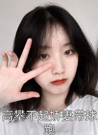 宠妻精品小说