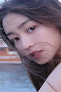 大明1617全章节阅读