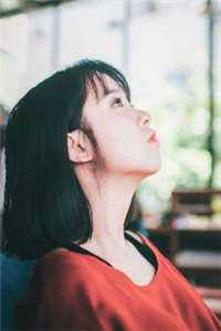 完美犯罪全章节阅读