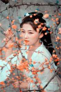 陪校花减肥成功，美人奖励双丰收阅读全集