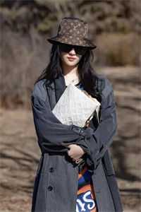 全文版陆总，夫人说这婚迟早要离