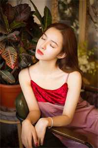 嘲我混得差？我老婆可是国民女神全本小说