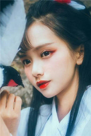 兽世娇宠：病弱美人多子多福全集小说