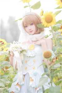 全章节瓷女