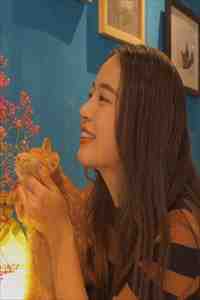 全章节花都美人图