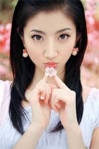 完整文集阅读最强战婿