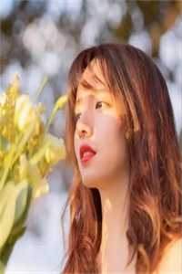 隐婚狂宠：霸总娇妻她深藏不露火爆小说