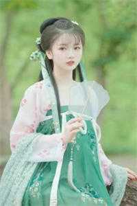 桃源山村小神医正版