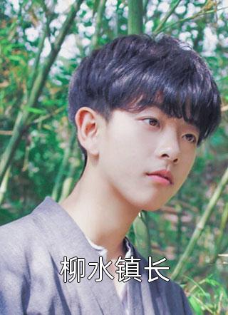 完整章节阅读入赘为婿后，他只想吃软饭