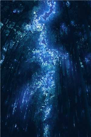替嫁医妃：夫君江山均入怀中畅销小说