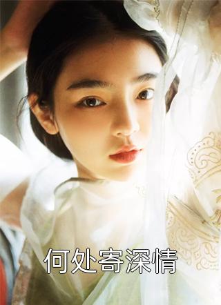 官场：从离婚后扶摇直上畅读精品小说