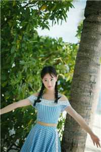 昏嫁全集阅读