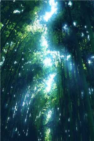 精选篇章乡村神医在都市