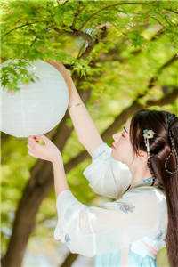 君王强夺臣妻，只为惊鸿一面全集阅读
