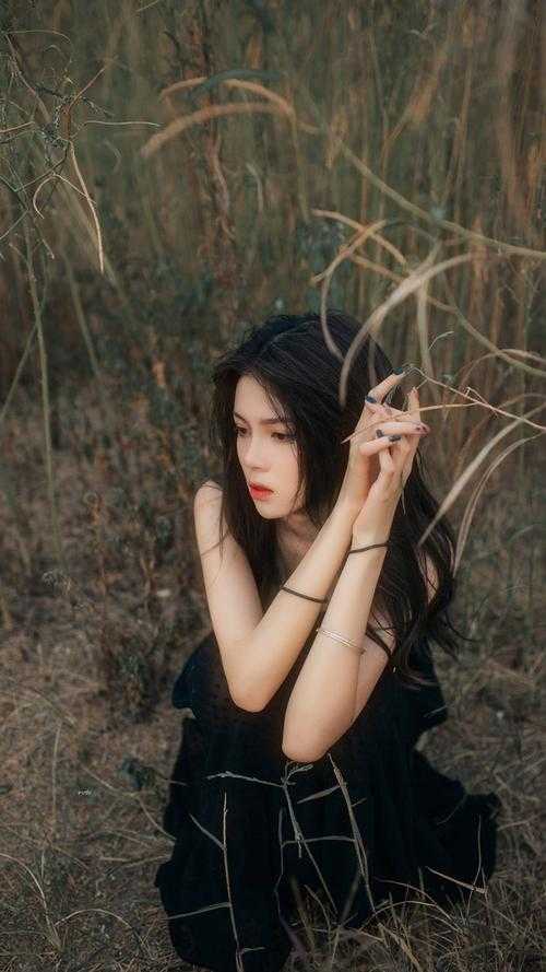 偏宠：总裁的怪力少女完整阅读