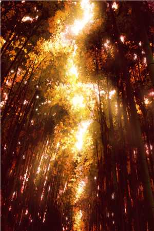 和离再高嫁，将门毒妃她超飒畅读全文