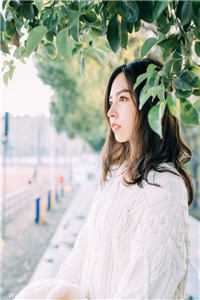 致命温柔：夫人今天也是卧底精品推荐