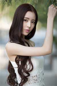 无情问道前言+后续