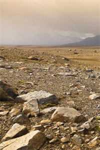 积累资本成首富，白眼亲戚悔哭了苏洛苏沧海全局