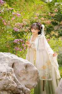如获至宝完结文