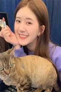 时间是最好的偏方：前言畅读