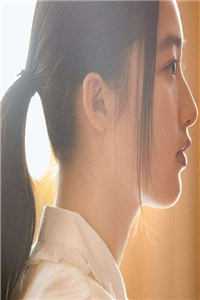 陈斌高婉君写的小说桃色仕途