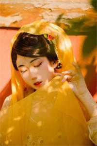 沈居安顾如茵半溪明月枕清风小说