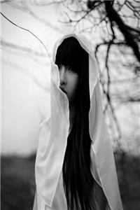 陈阳乔英姿美人多娇画青云小说