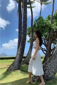 霸总别追了，夫人只想拿钱独美后续+完结