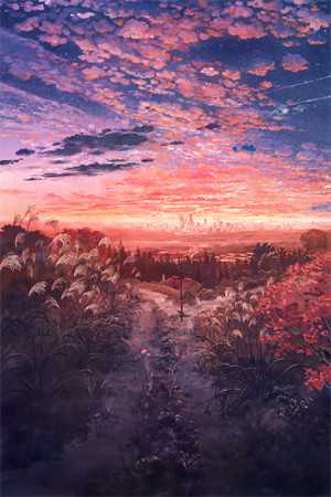 她和往事，散作流星已完结